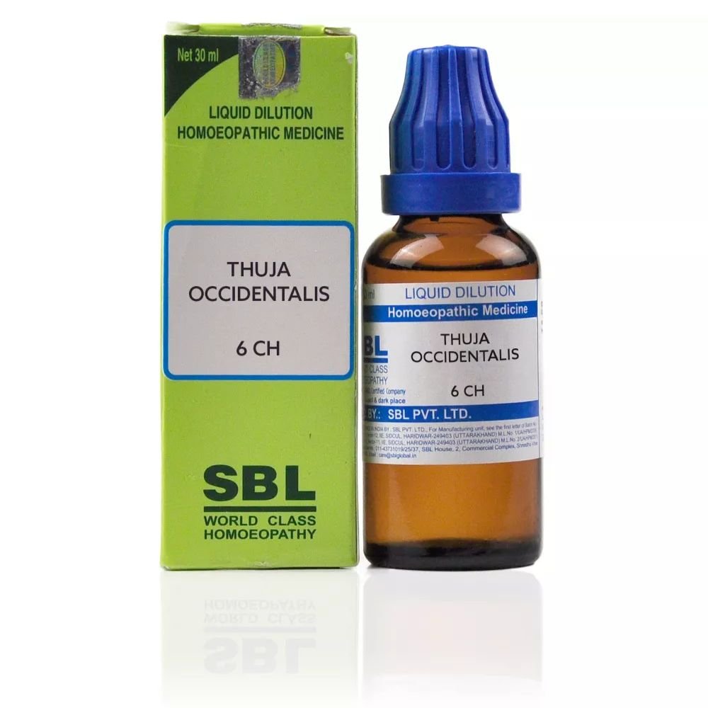 SBL Thuja Occidentalis